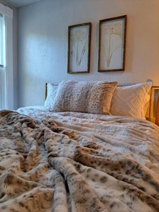 Saco Riverside Modern & Cozy 3 Bedroom 3rd Flr Apartment Conway