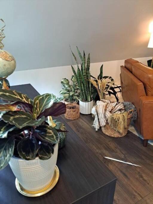 Apartment Saco Riverside Modern & Cozy 3 Bedroom 3rd Flr